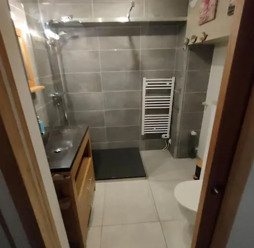 -studio Aix Les Bains Face Au Lac- *